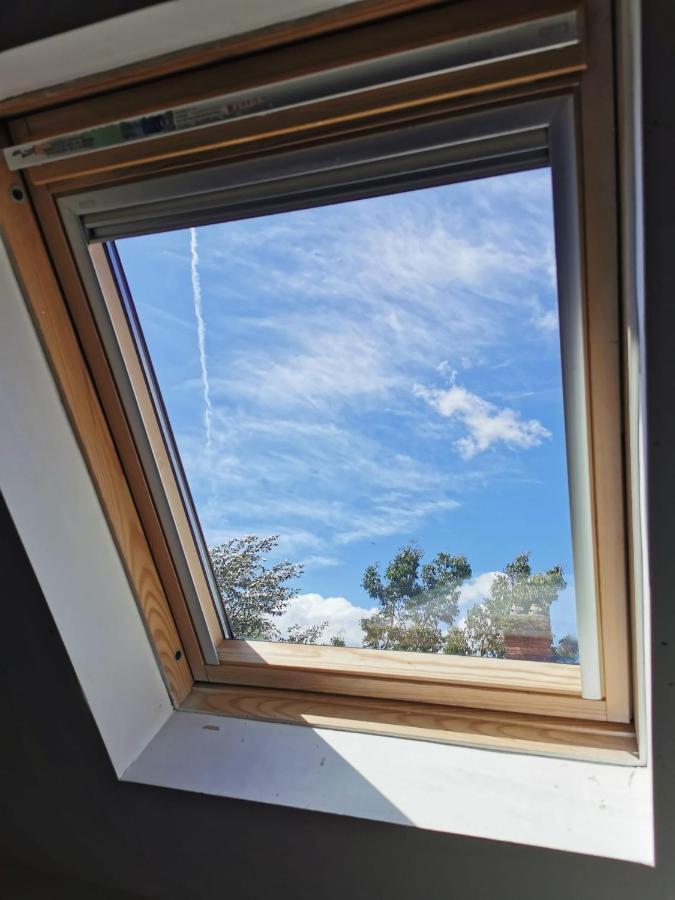Abbeyfield Guesthouse リヴァプール エクステリア 写真